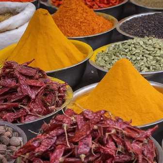 The Science of Indian Spices